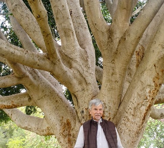 Félix L. Reina Galán