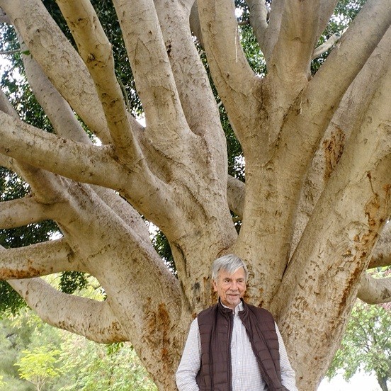 Félix L. Reina Galán